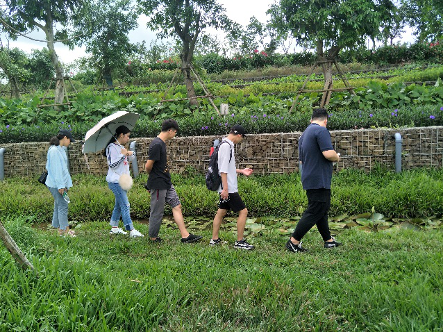 学习雷锋——美舍河公园公益环保